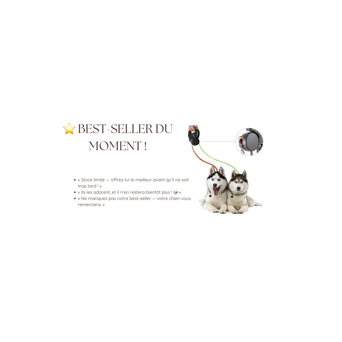 PetTwist 360